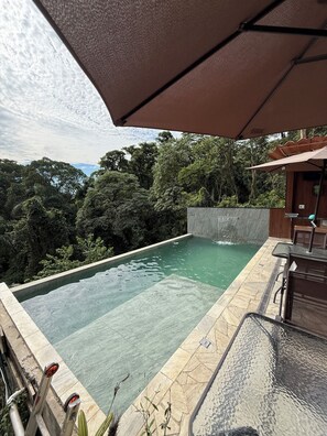 Ein Schwimmbad mit Steinrand, umgeben von üppiger Vegetation und einer Holzterrasse mit Gartenmöbeln.