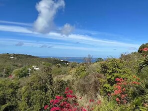 Miscellaneous - Air Conditioned 1-Bed in Cruz Bay (Cruz Bay)