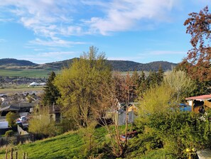 A rural landscape with houses, trees, and a hilly backdrop. - Cozy 2 Bedrooms, Mountain View Private suite (Vernon)