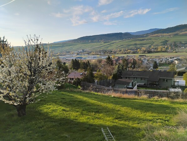 Un quartiere residenziale con case, un albero e una vista lontana di una città.