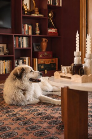 A dog lying on a patterned carpet in a room with a bookshelf, a table with candles, and a mirror. - Catskill Creek w/ Deck & Views (Jefferson Heights)