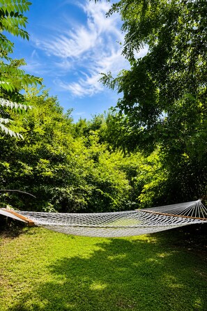 A hammock in a grassy area with dense green foliage and a clear blue sky. - Catskill Creek w/ Deck & Views (Jefferson Heights)