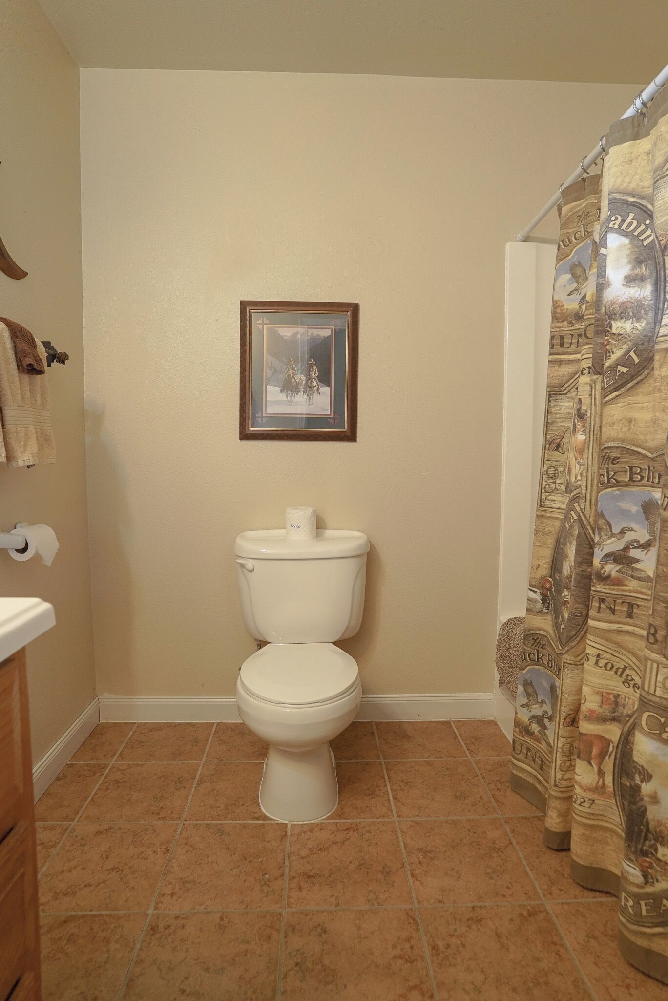 A bathroom with a toilet, a framed picture on the wall, and a shower curtain with animal prints.