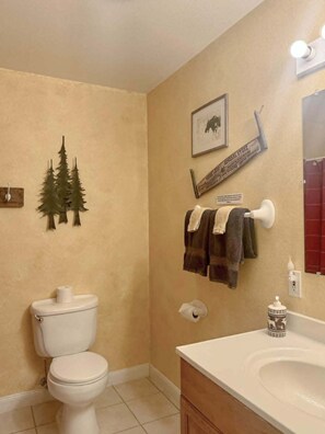 Hair dryer, soap, shampoo, toilet paper