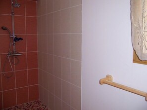 Une salle de bain équipée d’une douche, d’une barre d’appui en bois et d’un porte-serviettes fixé au mur.