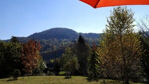 Une zone herbeuse avec des arbres et une montagne en arrière-plan.