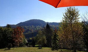 A grassy area with trees and a mountain in the background. - Le Champ de Cros - MURAT LE QUAIRE (MURAT LE QUAIRE)