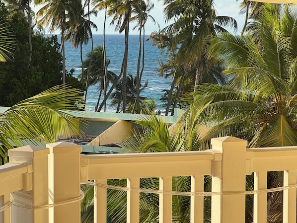 A view of a beach with palm trees and a clear sky. - Ocean Sunset Lover (Isabela)