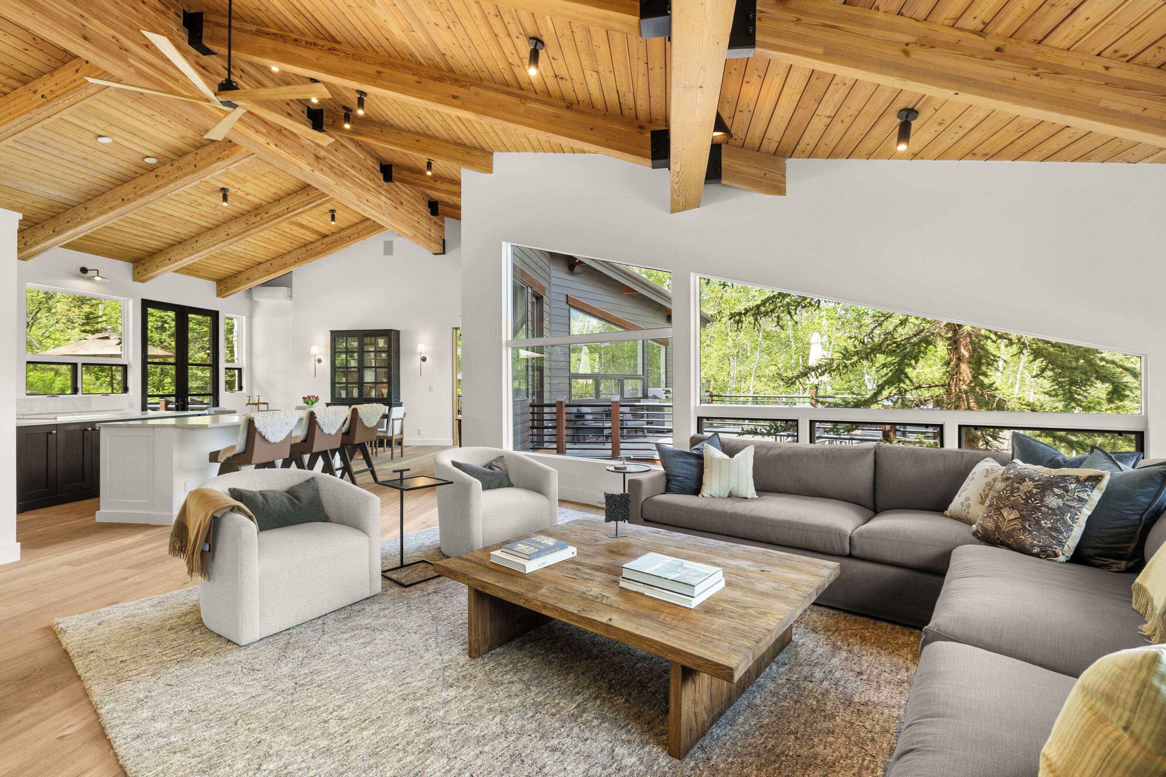 Smart TV, fireplace, books, stereo