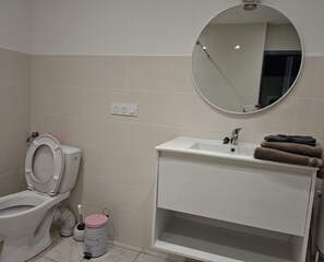 A bathroom with a toilet, sink, mirror, and a trash bin. - International Business (Pau)