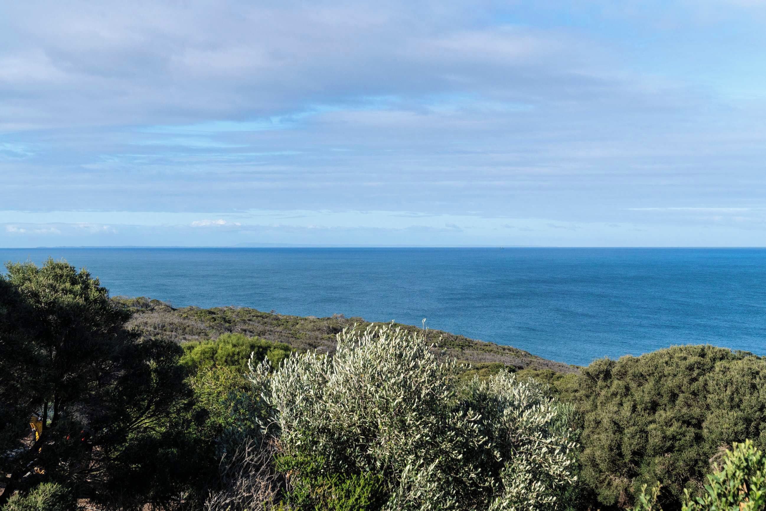A coastal landscape with dense vegetation and a view of the sea.