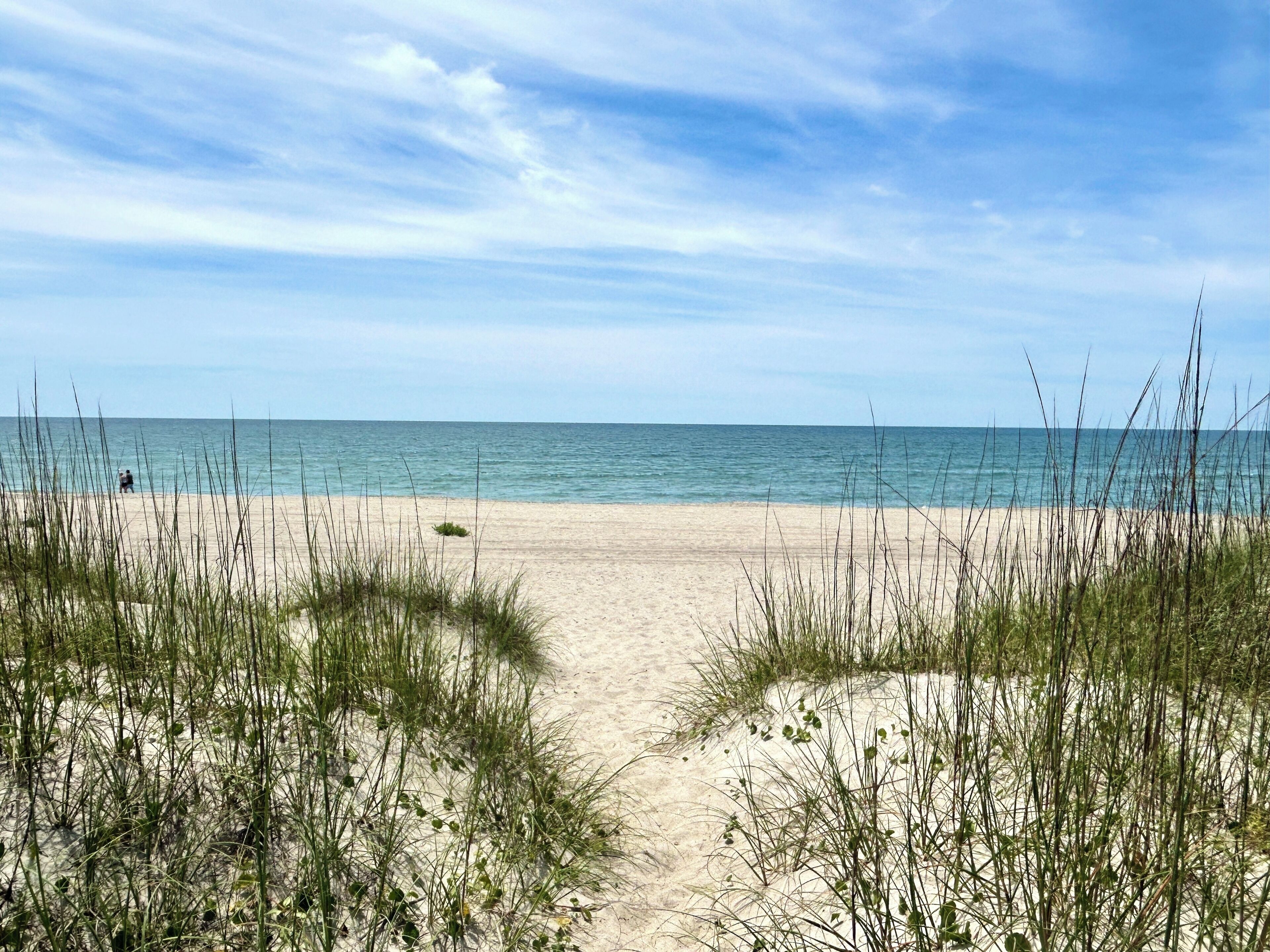 A beach with sand dunes and a clear view of the ocean.