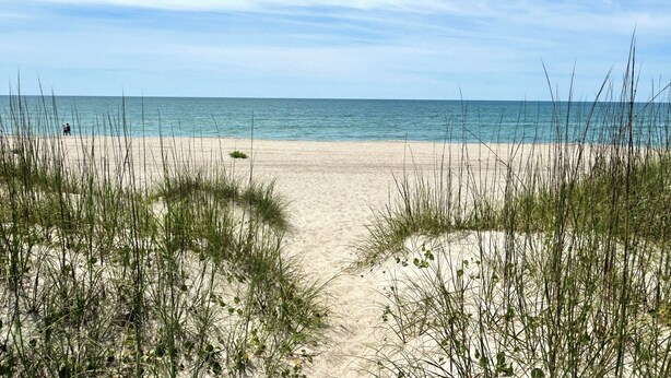 En strand med sanddyner och fri utsikt över havet.