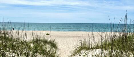 A beach with sand dunes and a clear view of the ocean.
