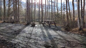 Un área boscosa con un sendero de tierra que lleva a una mesa de picnic de madera.