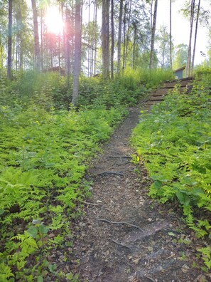 Terrain de l’hébergement 