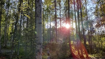 Miscelánea