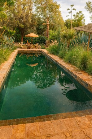 A rectangular swimming pool with a stone border, surrounded by lush greenery and a wooden deck with a thatched umbrella.