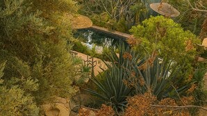 Um jardim com lago, plantas diversas e um caminho de pedra.