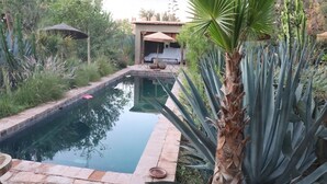 Piscina com borda de pedra, rodeada por plantas diversas e um pequeno edifício ao fundo.