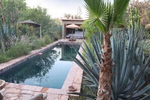 A swimming pool with a stone border, surrounded by various plants and a small building in the background. - Vrbo Property (Taroudant)