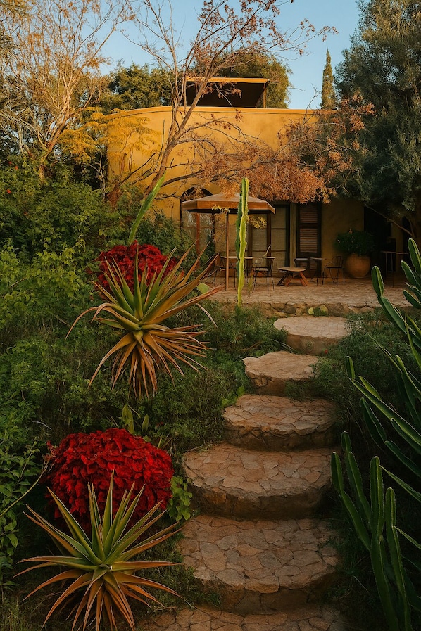 A garden with a stone pathway leading to a covered seating area.