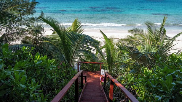 Eine Holztreppe führt zu einem Strand mit klarem türkisblauem Wasser und Palmen.