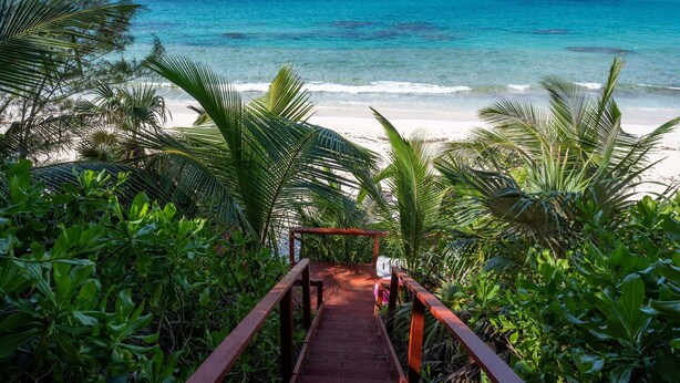 Un sendero de madera que conduce a una playa con agua turquesa cristalina y palmeras.