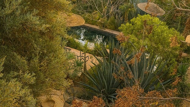 Un jardín con un estanque, diversas plantas y un sendero de piedra.