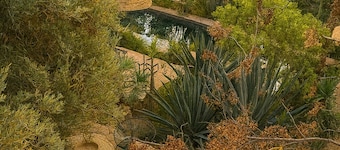 Royal Garden Suite with Pool, Hammam & Spa Access