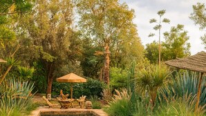 Una piscina rectangular con borde de piedra, rodeada de abundante vegetación y una terraza de madera con sombrilla de paja.