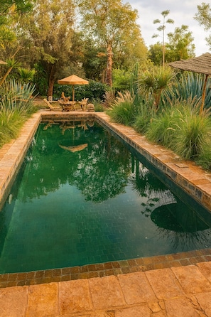 Una piscina rectangular amb un marc de pedra, envoltada de vegetació abundant i un pont de fusta amb un parasol de palla.