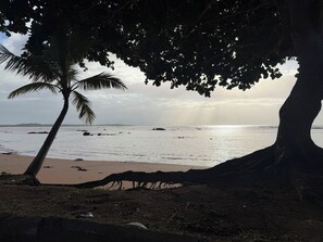 A beach with palm trees and a view of the ocean. - Sun and sea, cozy house in Nova Almeida, pets allowed. (Serra)