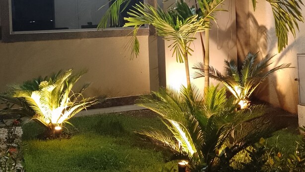 A well-lit outdoor area with a lawn, palm trees, and a building in the background.