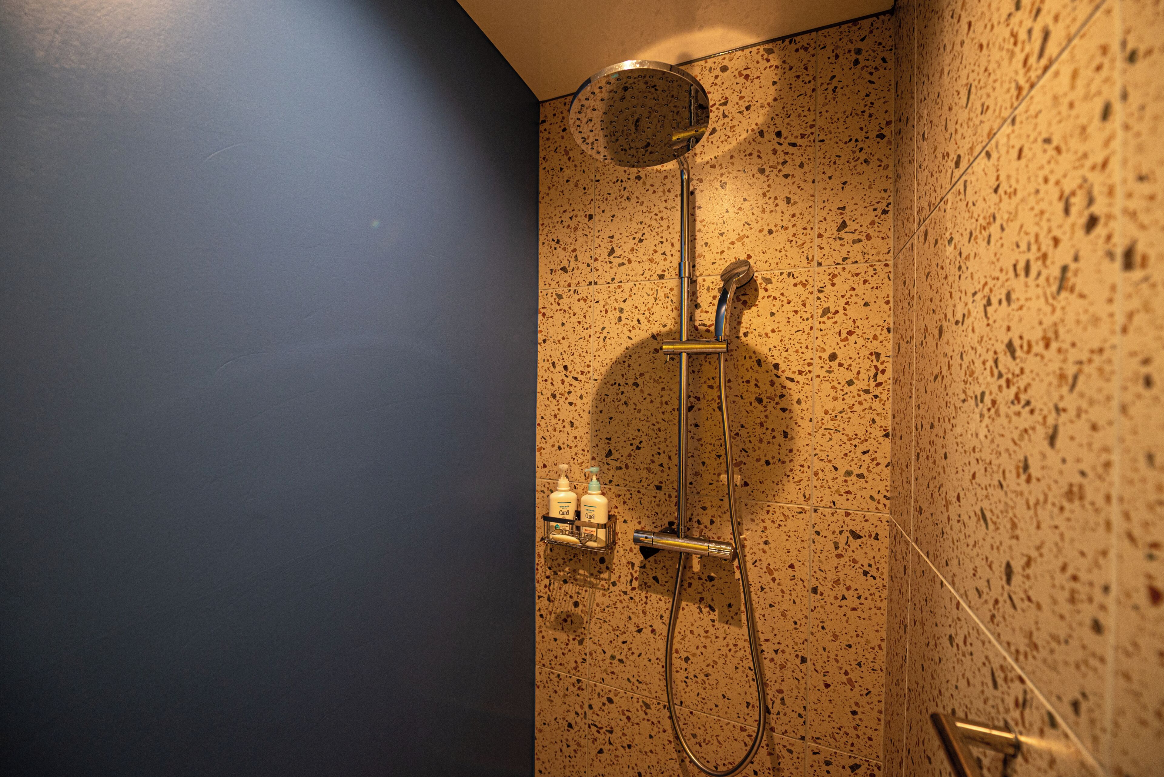 A shower with a handheld showerhead, a wall-mounted faucet, and a soap dispenser.