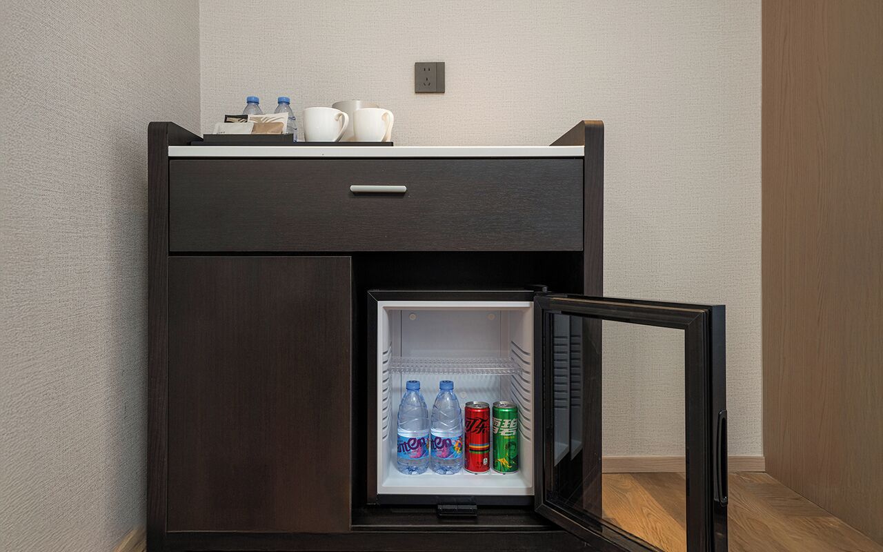 Standard Double or Twin Room, City View | Interior