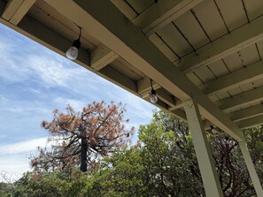 Un espace extérieur abrité, doté d’une structure en forme de pergola, d’arbres et offrant une vue sur un ciel dégagé.