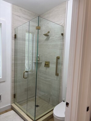 A glass-enclosed shower stall with a handheld showerhead, a glass door, and a toilet visible to the right. - Modern Beach Cottage (Sag Harbor)