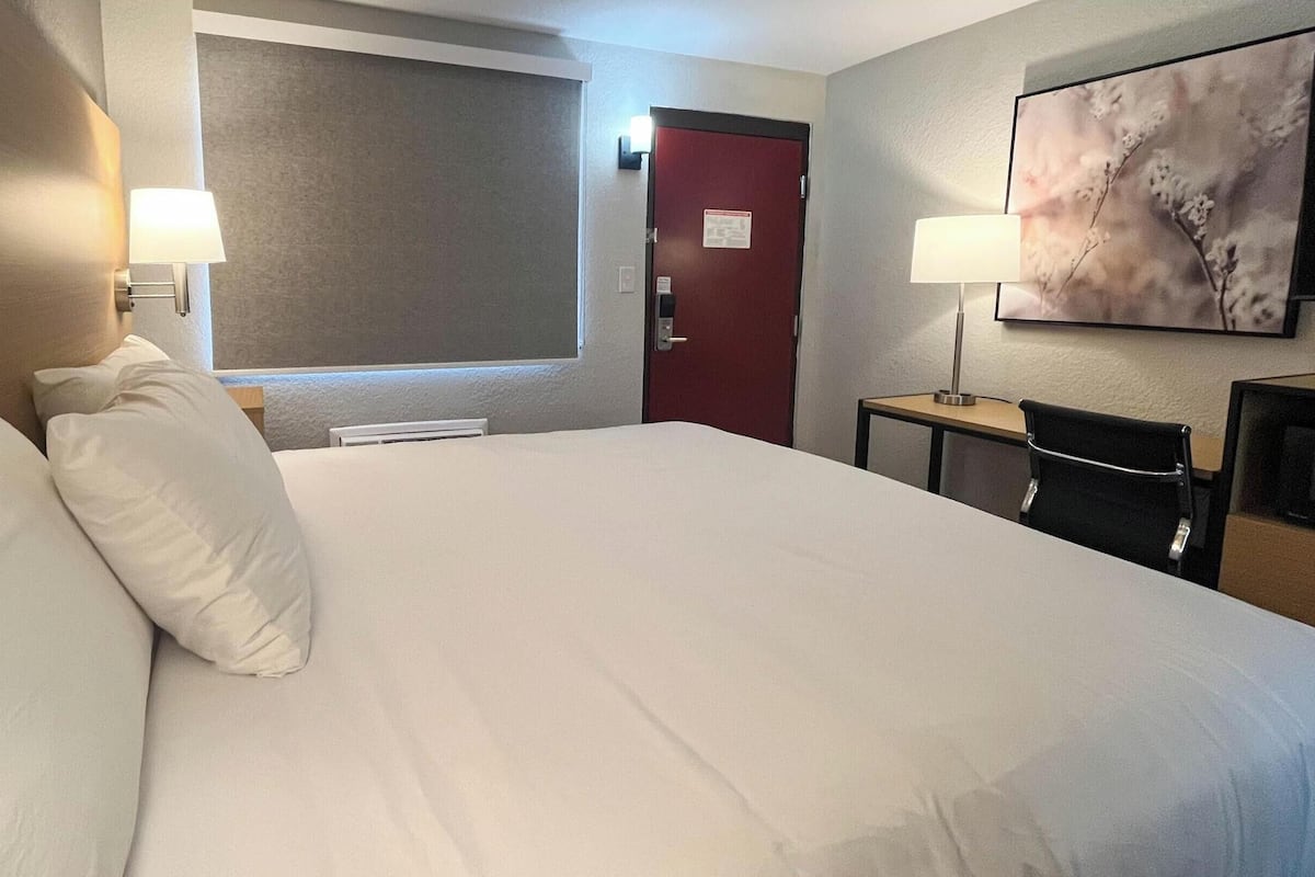 Premium bedding, desk, laptop workspace, WiFi (free)