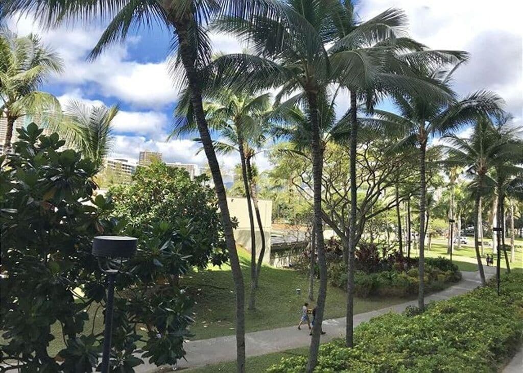 A pathway lined with palm trees and greenery, leading to a building in the background.