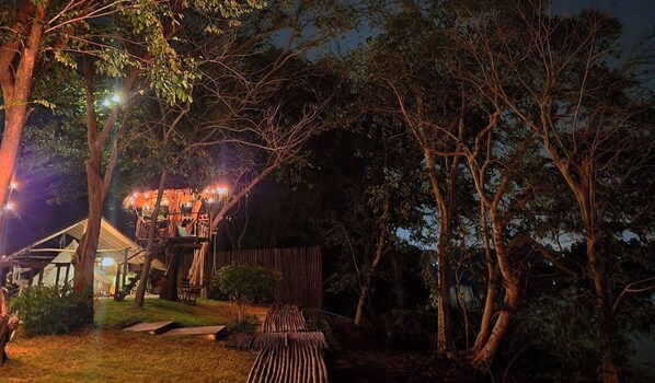 Una casa d'arbús amb una escala de corda, envoltada d'arbres i una zona verda.