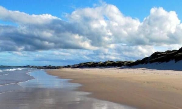 A beach with a sandy shore and a clear sky.