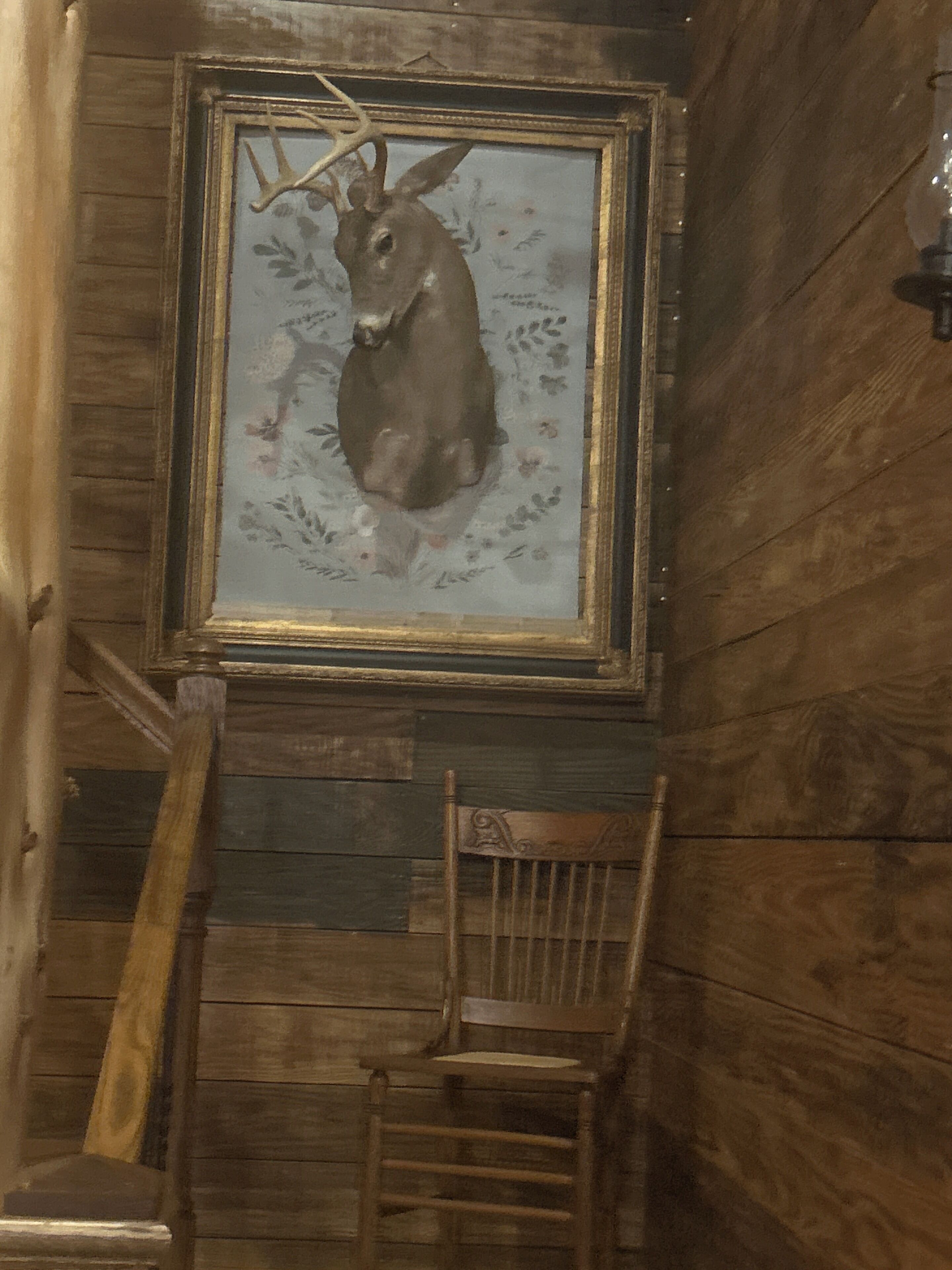 A framed deer head mounted on a wooden wall with a wooden chair below.