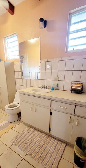 A bathroom with a toilet, sink, mirror, tiled walls, and a window. - 2-BR apt in beautiful St Thomas filled with local flava (Charlotte Amalie)