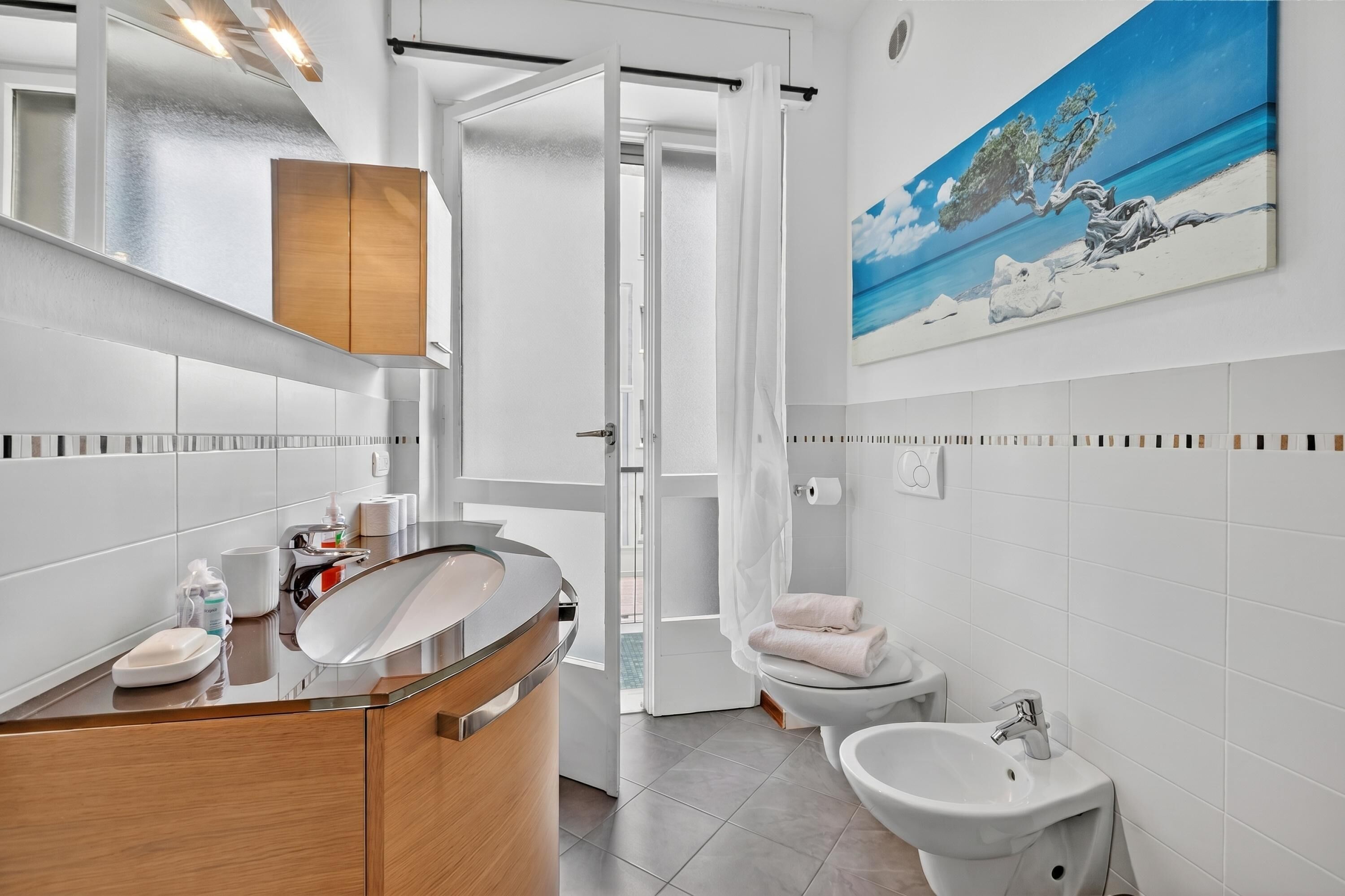 Shower, hair dryer, bidet, towels