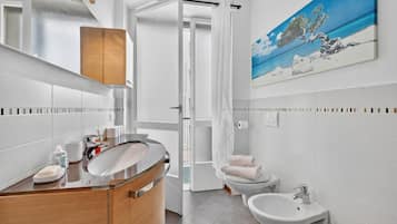 Shower, hair dryer, bidet, towels