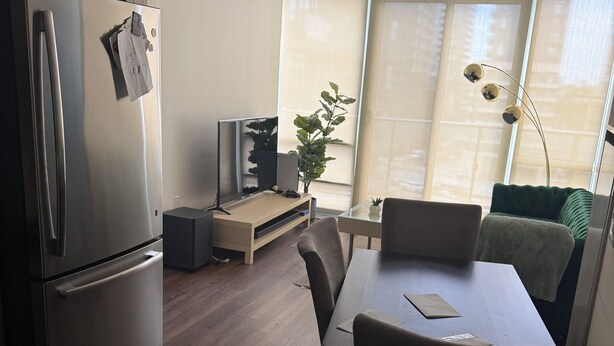 A modern kitchen with a refrigerator, a dining table with chairs, a small TV, and a plant.