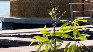 Una estructura de techo de paja con una puerta de madera, un ventanal pequeño y un muelle que se extiende sobre el agua, con una colina boscosa al fondo.