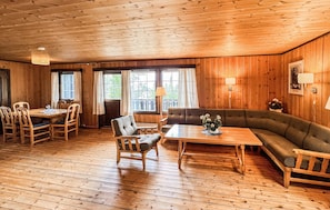 Fernseher, Kamin