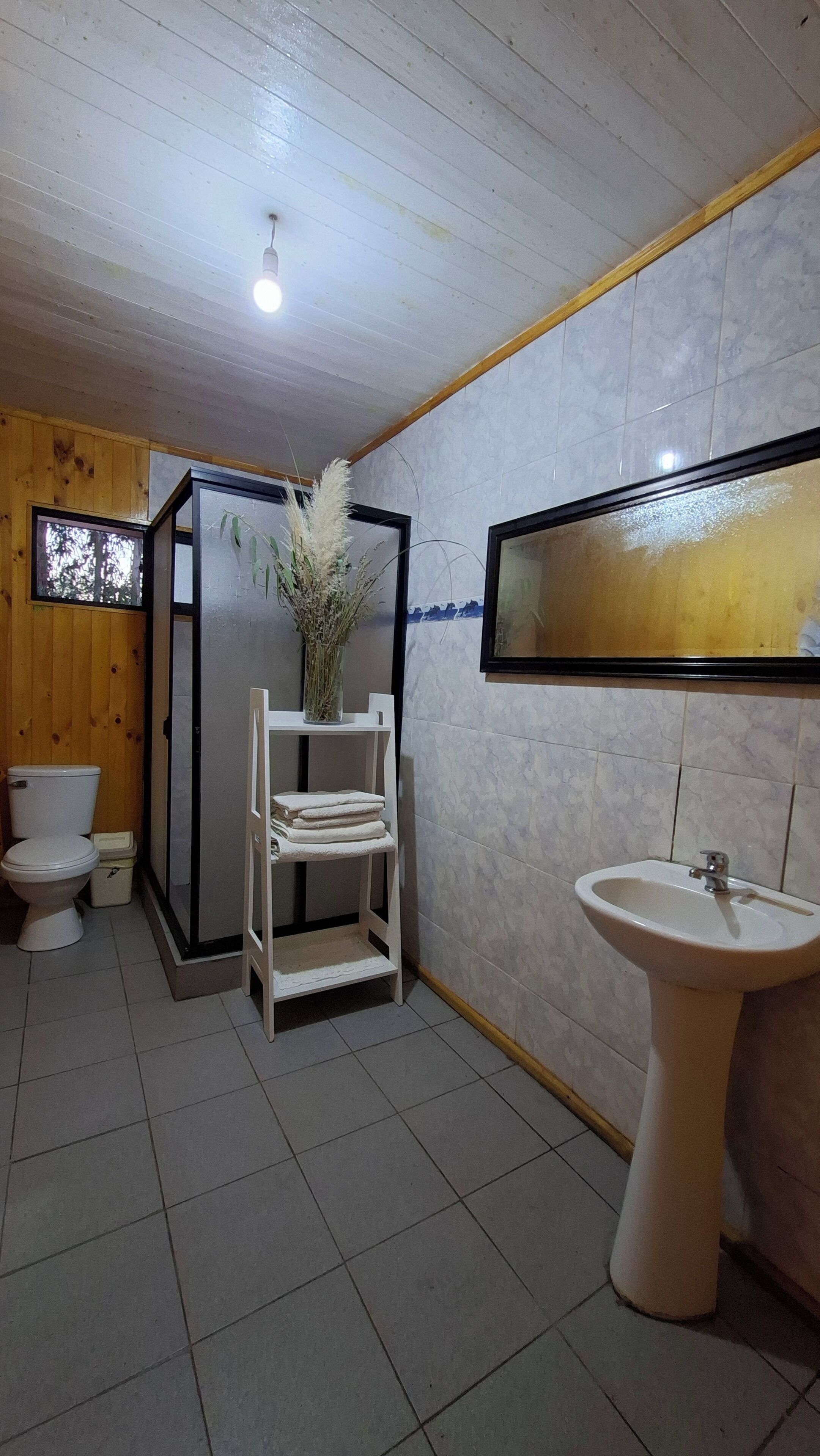 Savon, papier toilette